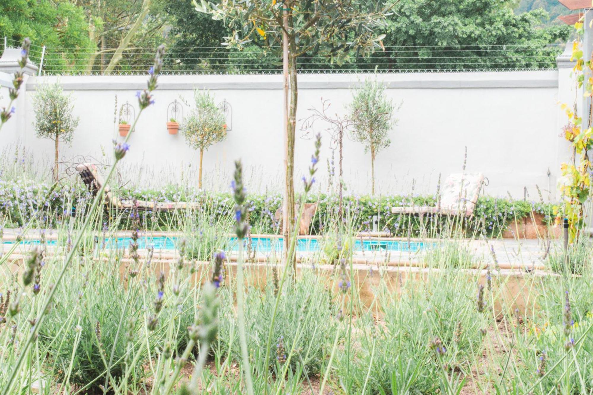 Olive Tree Lodge Paarl Kültér fotó
