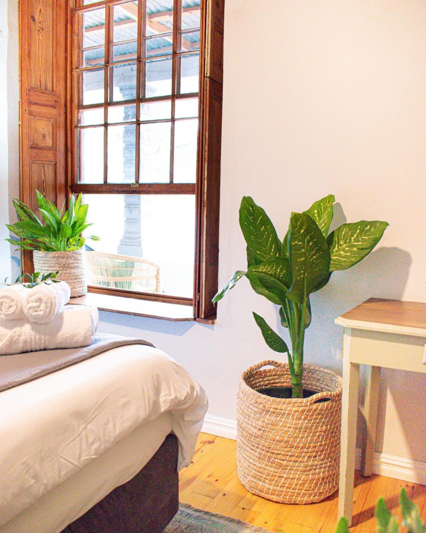 Olive Tree Lodge Paarl Kültér fotó