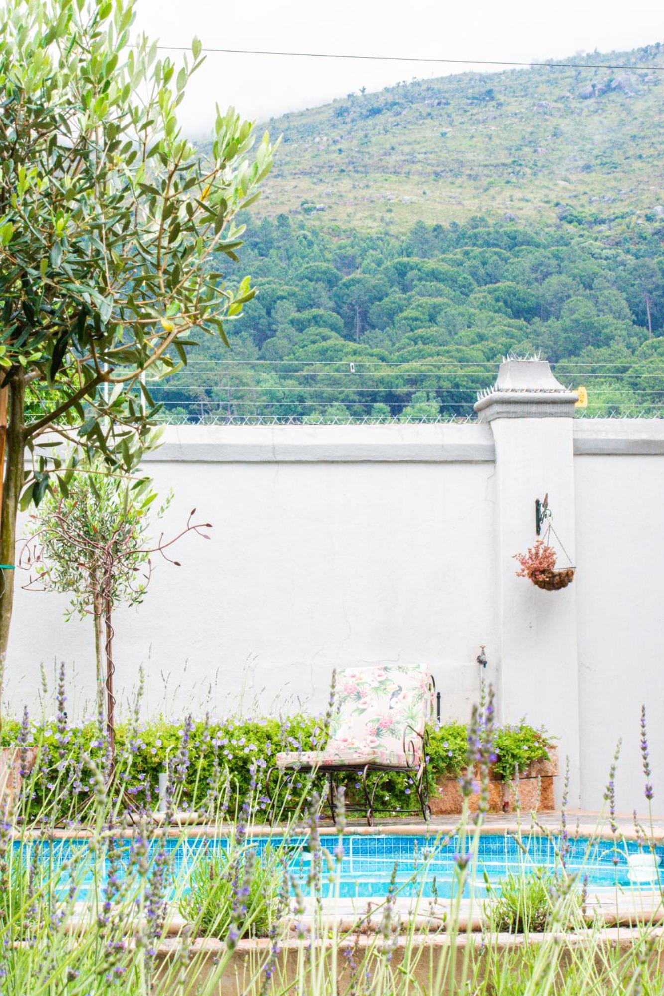 Olive Tree Lodge Paarl Kültér fotó